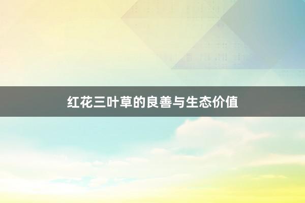 红花三叶草的良善与生态价值